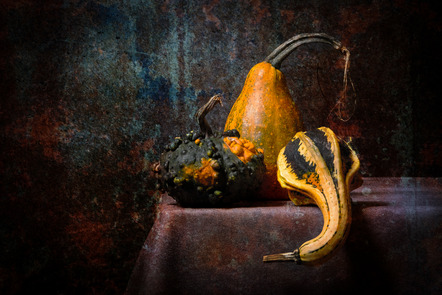 Gruner Rüdiger - Direktmitglied Baden-Württemberg - Still Life Pumpkin - Annahme