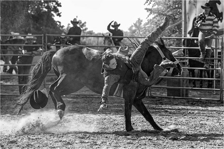 Schwabenland Klaus - Foto-Forum Oberhausen-Rheinhausen e.V. - Rodeo -Abwurf- - Annahme