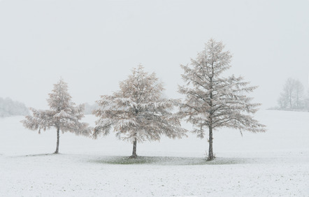 RT 3 - R. Rieker - erster Schnee - Annahme